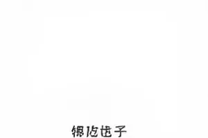 城市骑行挑战赛计时点与芯片设备